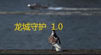 龙城守护  1.0